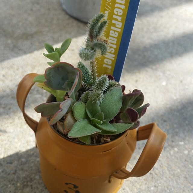yukikoさんの実例写真