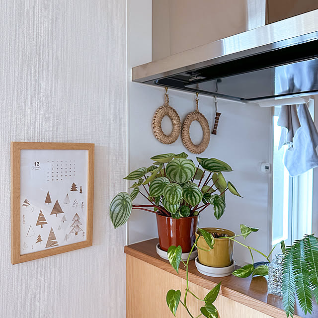 macaさんの実例写真