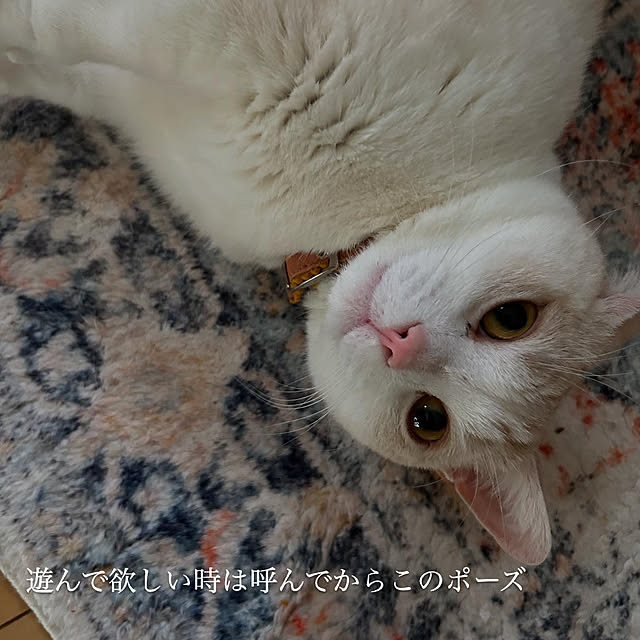 addicted2you443さんの部屋