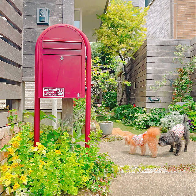 実例写真