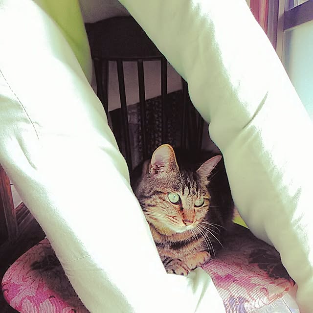 mairin318さんの実例写真