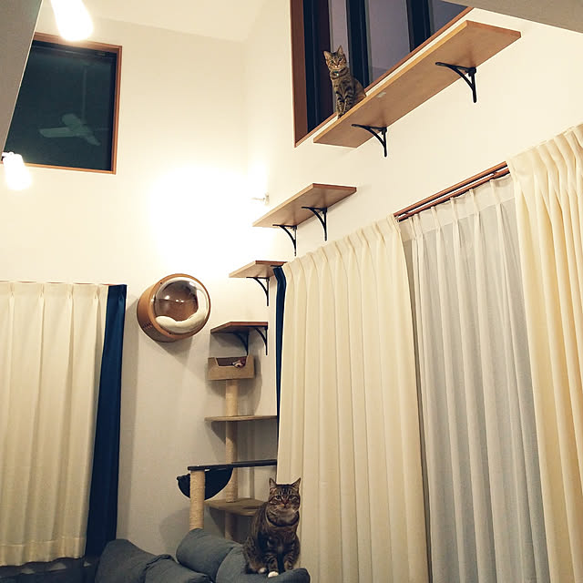 mochicoさんの実例写真
