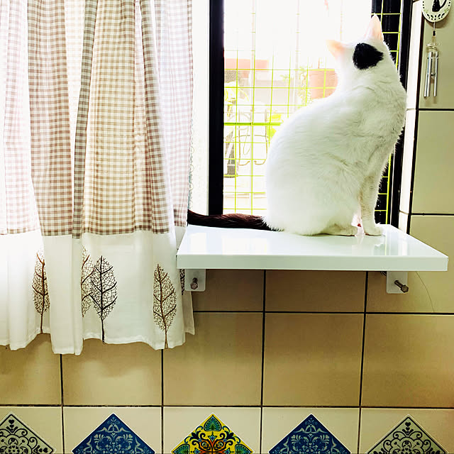 pcu110さんの実例写真