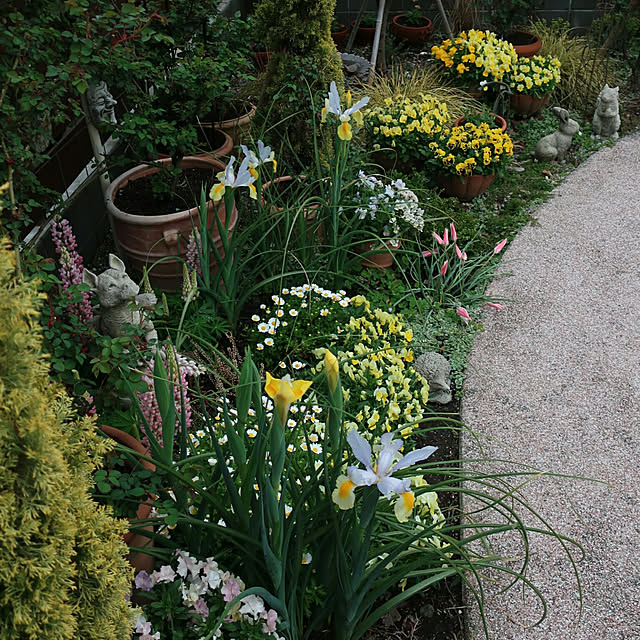 玄関/入り口/植物のある暮らし/海外インテリアに憧れる/花壇/花のある暮らし...などのインテリア実例 - 2021-03-28 22:21:27