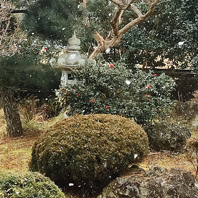 Nagakoさんの実例写真