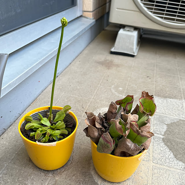 khaiさんの実例写真