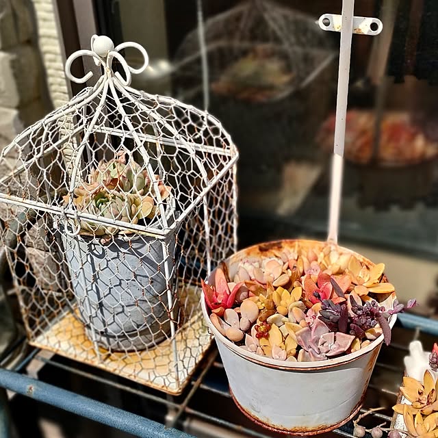 teamoさんの部屋