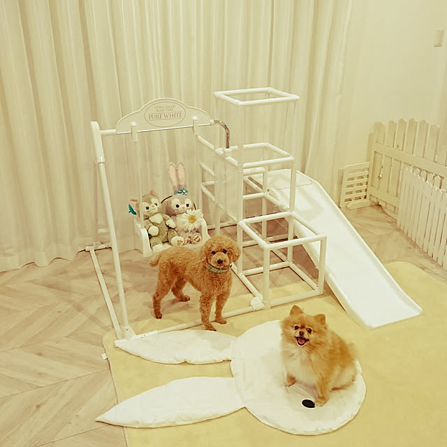 misoshiru-gohanさんの実例写真