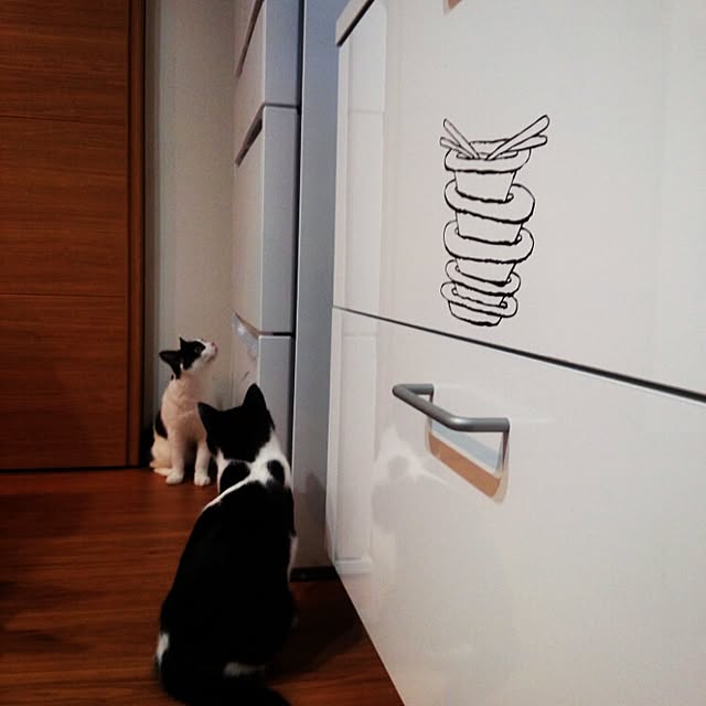 botanさんの実例写真