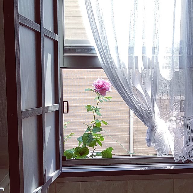 Bienvenueさんの実例写真