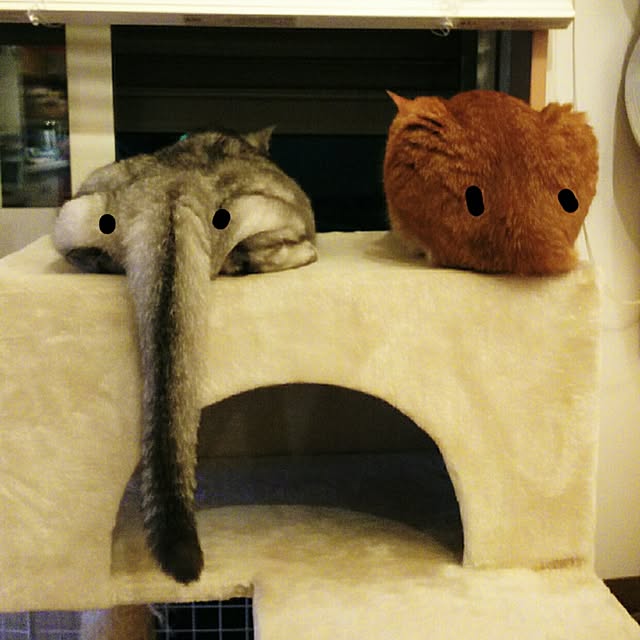 tamacharouさんの実例写真