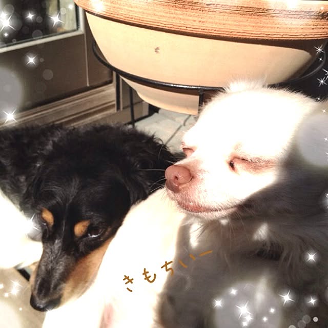 cocoさんの実例写真