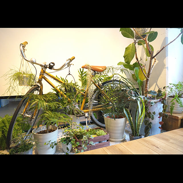 GardenGalleryさんの実例写真