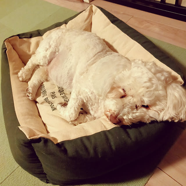 minmiさんの実例写真