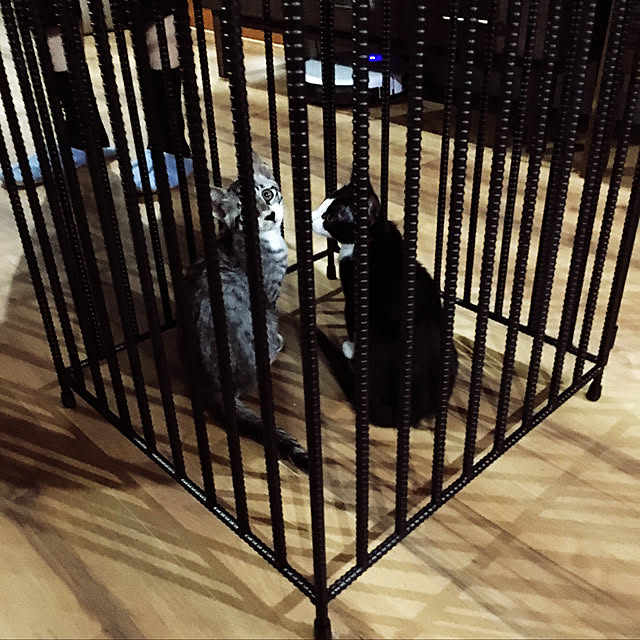 Yukinekoさんの実例写真