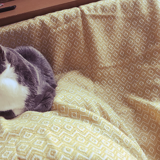 megさんの実例写真