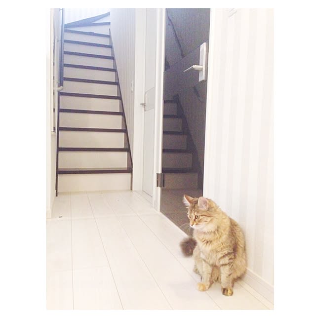 nauy2525さんの実例写真