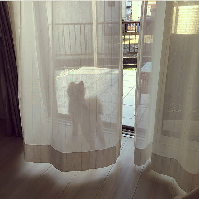 naaさんの実例写真