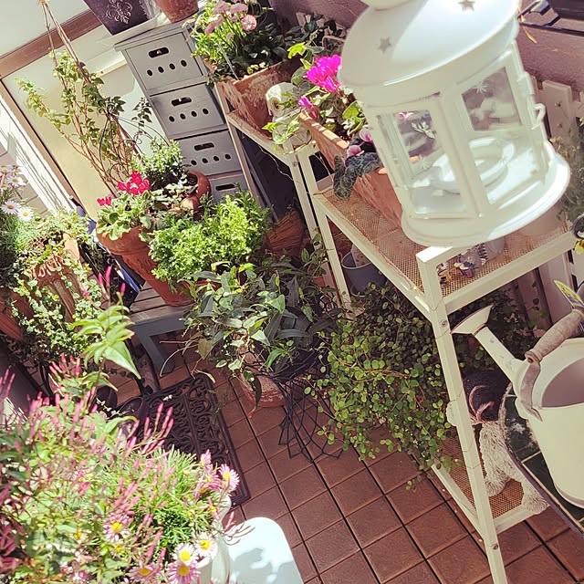 berryberryさんの実例写真