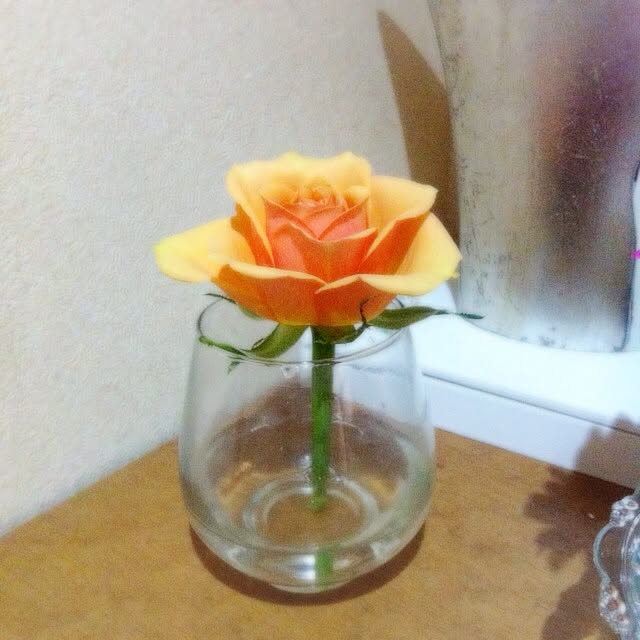 micciさんの実例写真