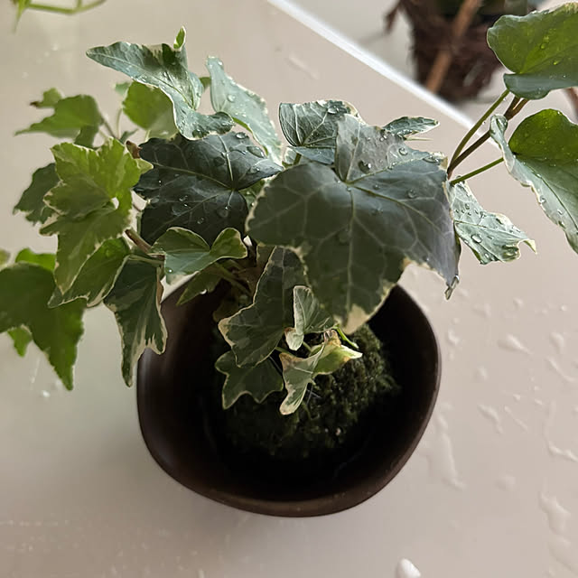 syutmmさんの部屋