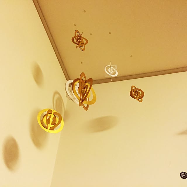 alcalinekoさんの実例写真
