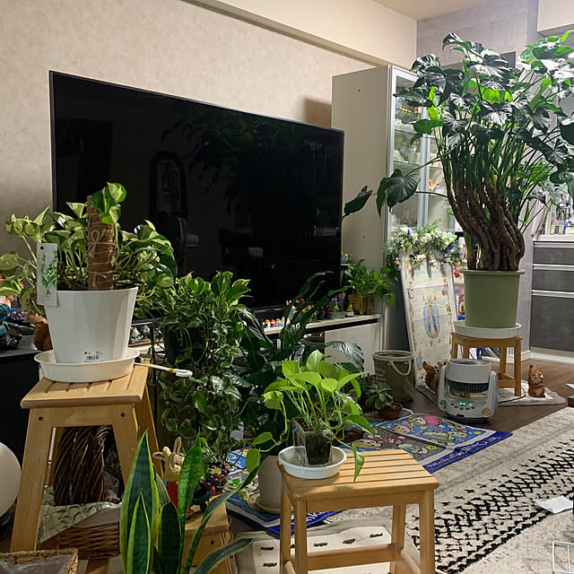 Aqettyさんの実例写真