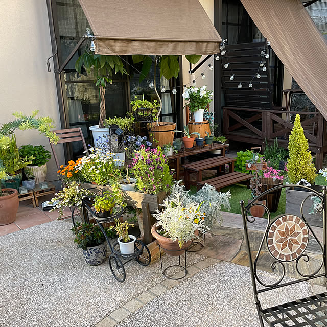 seana3761さんの部屋