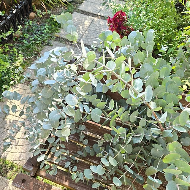 min_nimさんの実例写真