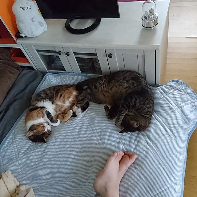 taleo07さんの実例写真
