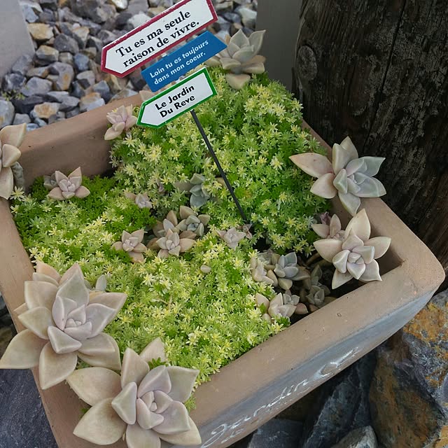 so-bokuさんの実例写真