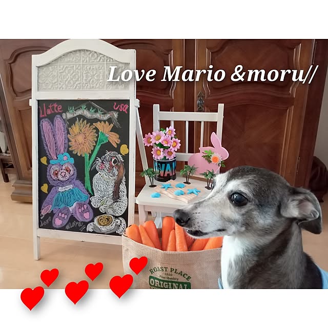 moruさんの部屋