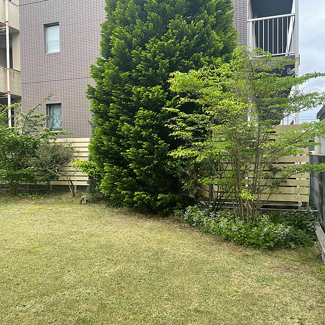 cheeさんの部屋