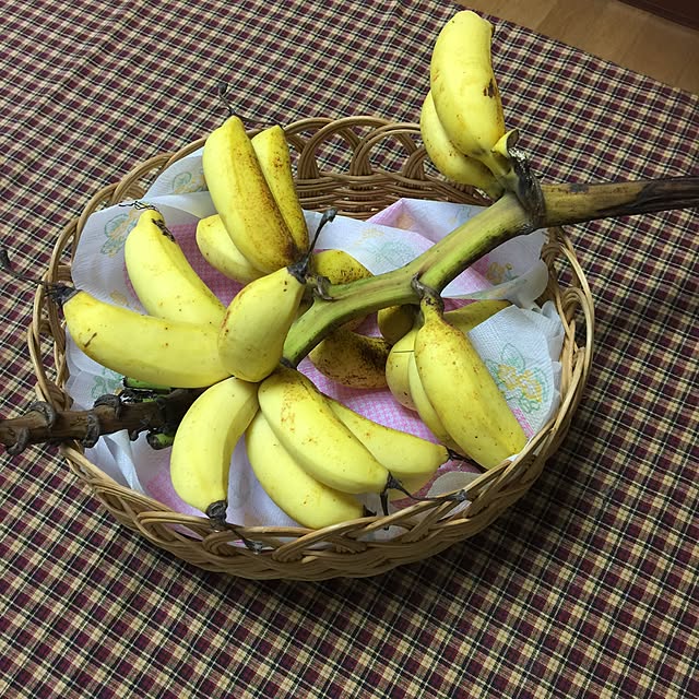 fusaさんの実例写真