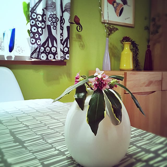 ladybug.さんの実例写真