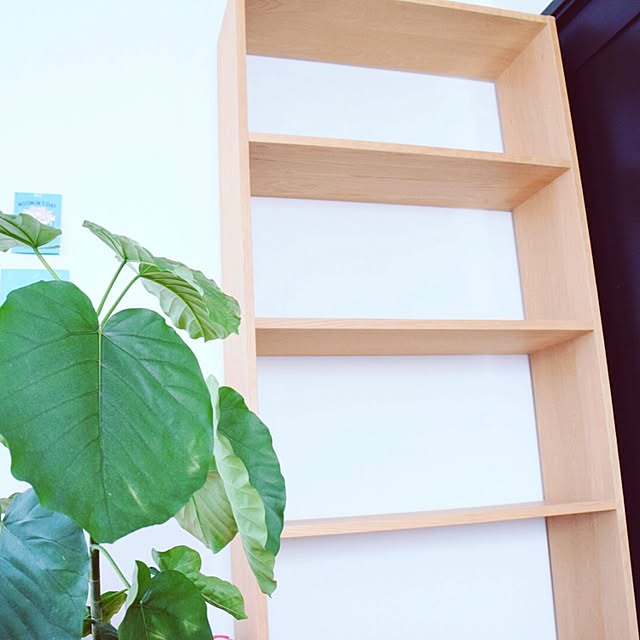 ベッド周り/スタッキングシェルフ/無印良品/IG→SAORIN501/静岡県民...などのインテリア実例 - 2015-09-18 11:40:51