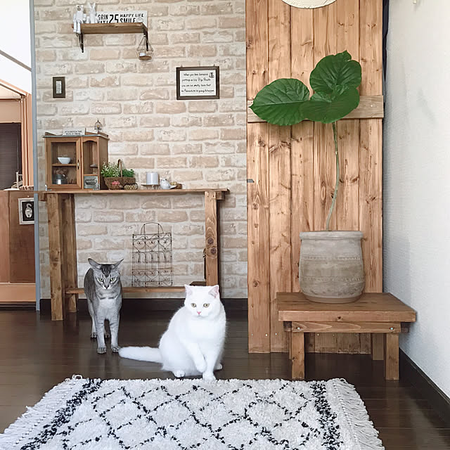 kotoriさんの実例写真