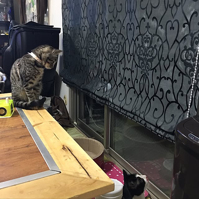 ukkun55さんの実例写真