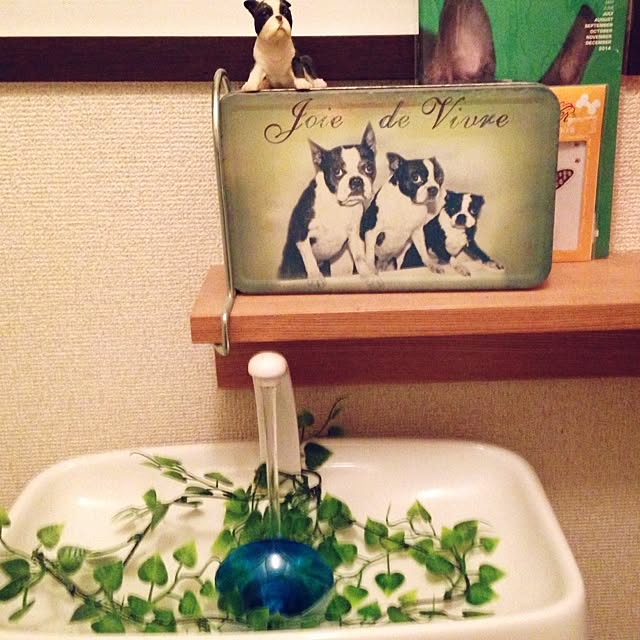 na2nuraumeさんの実例写真