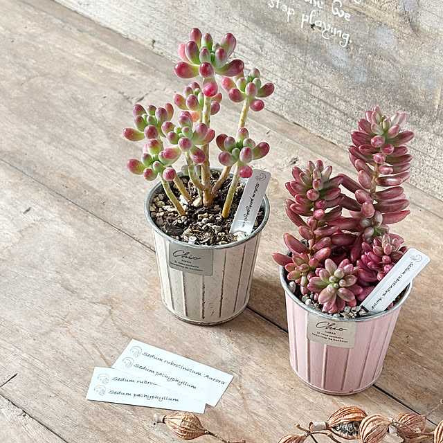 luna.comさんの実例写真