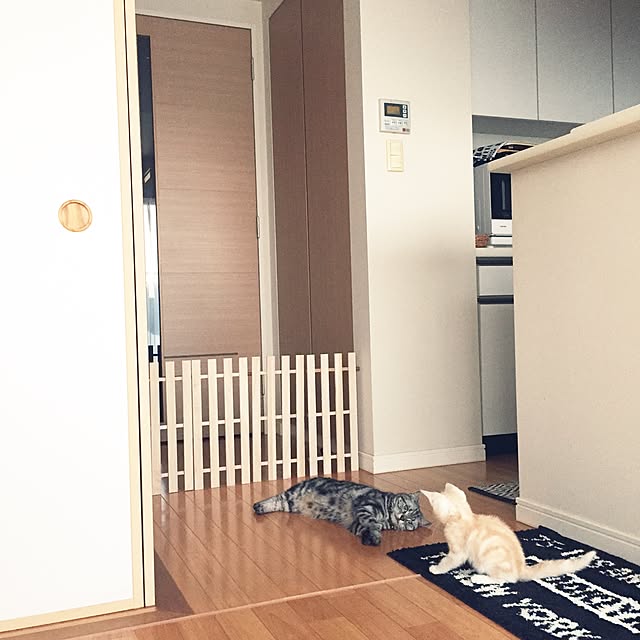 hiyupan88さんの実例写真