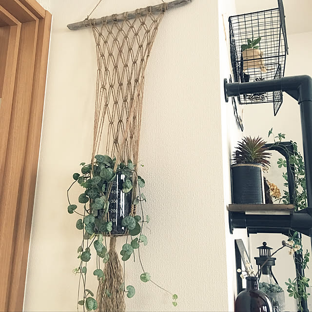 akko1205さんの実例写真
