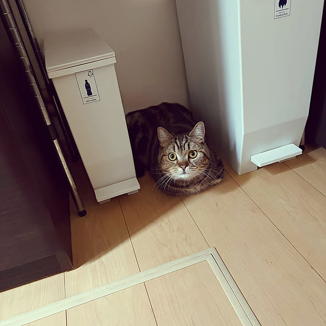 chiiさんのお部屋の写真