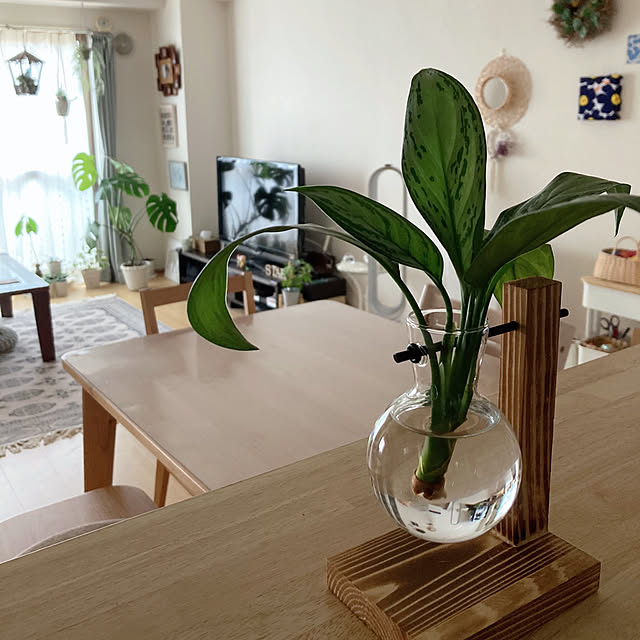 aiaiさんの部屋