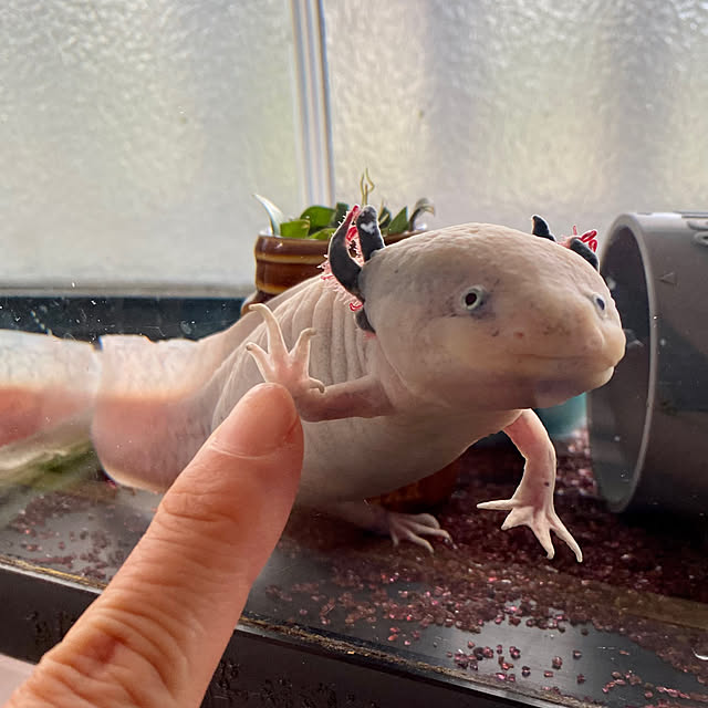 umi96さんの部屋