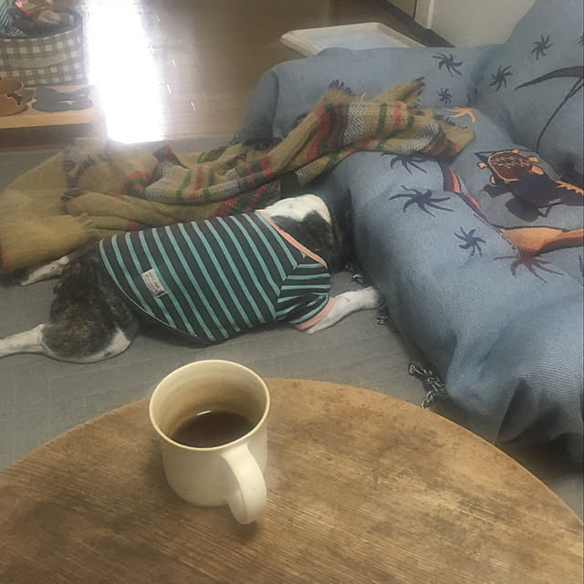 kiyocさんの実例写真