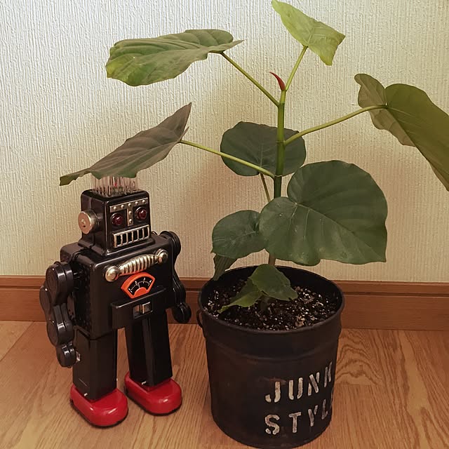 jun001さんの実例写真