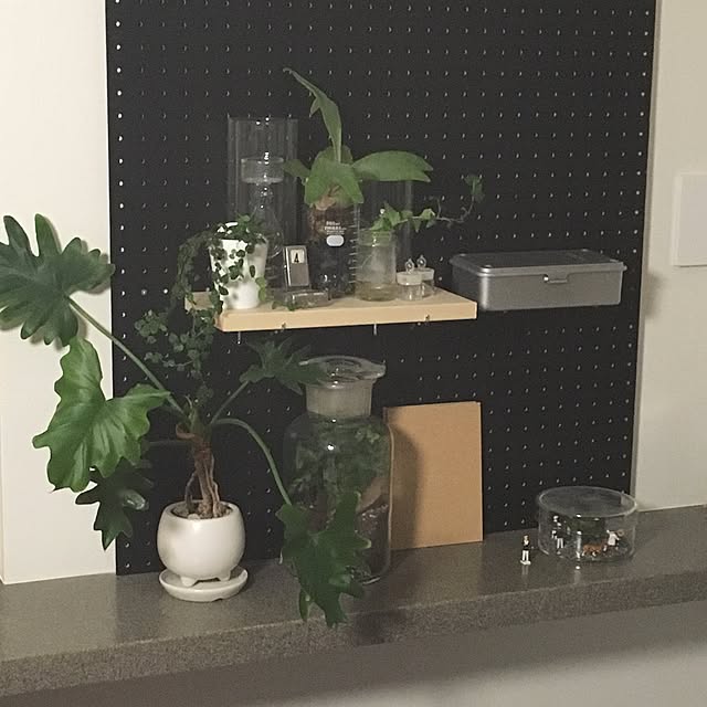 covananaさんの実例写真