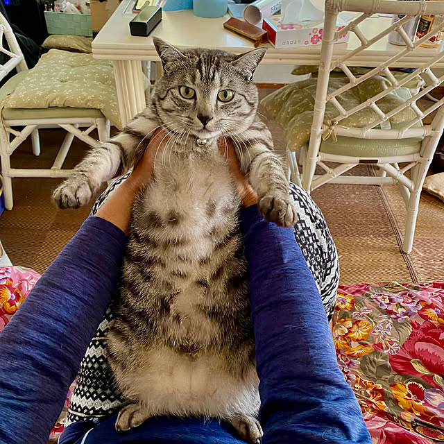 miniGeeさんの実例写真