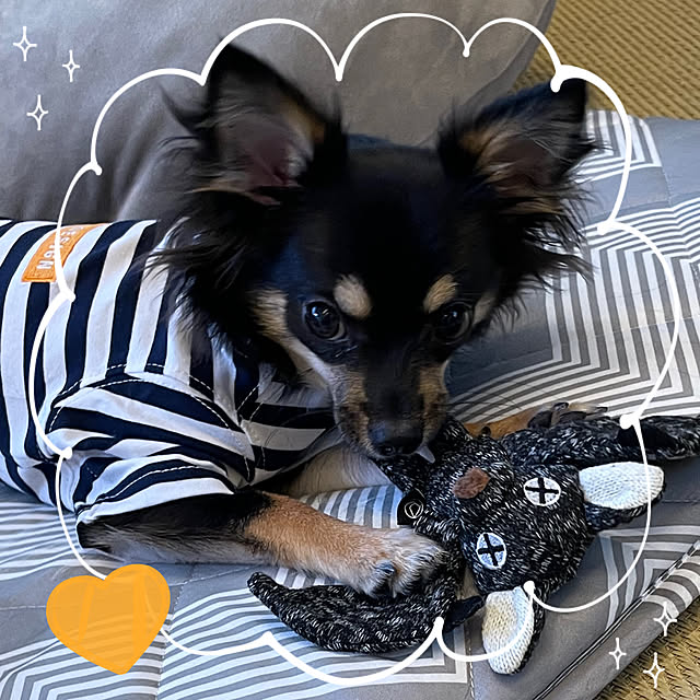 obuta47300さんの実例写真